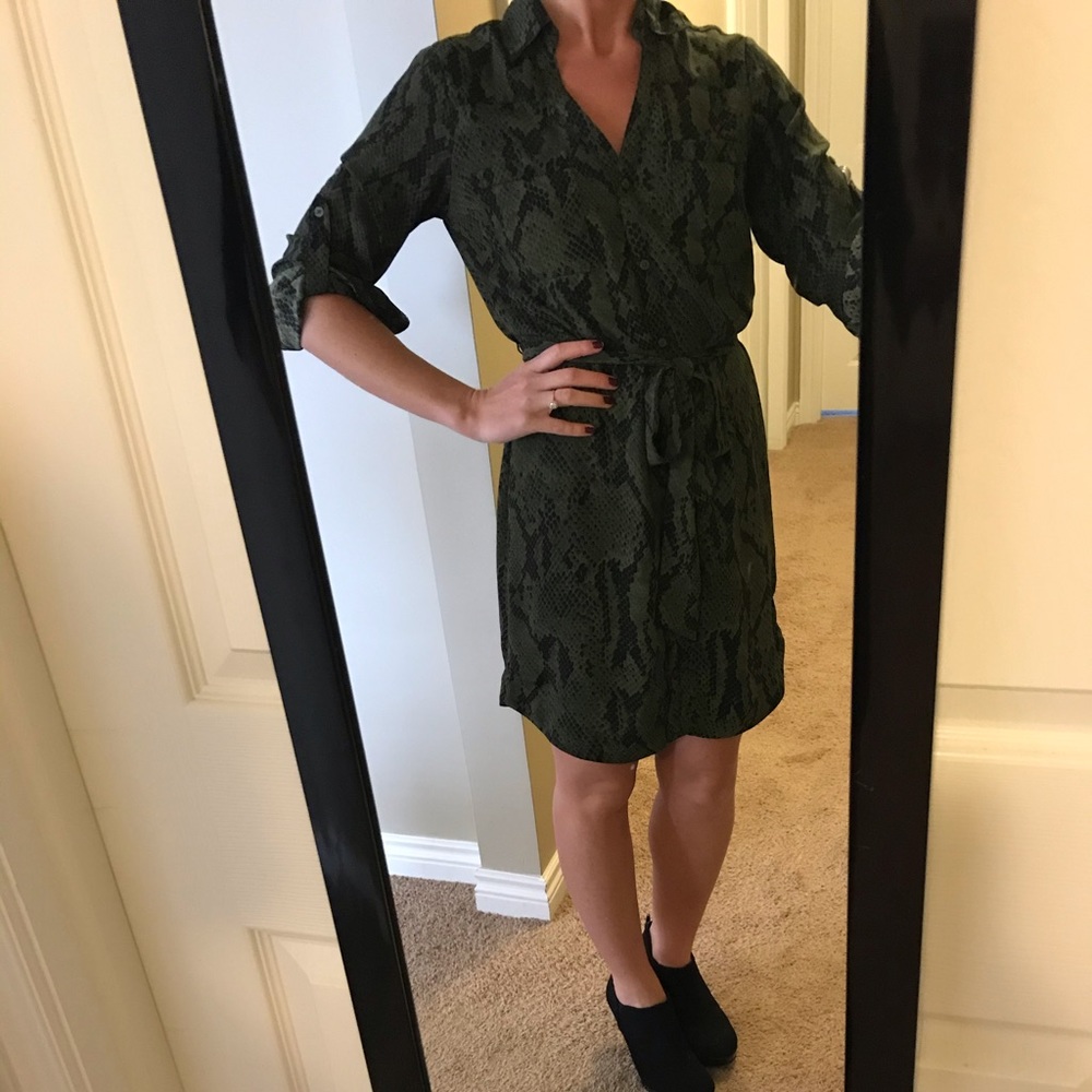 Express Python Dress - Picture 4 of 5